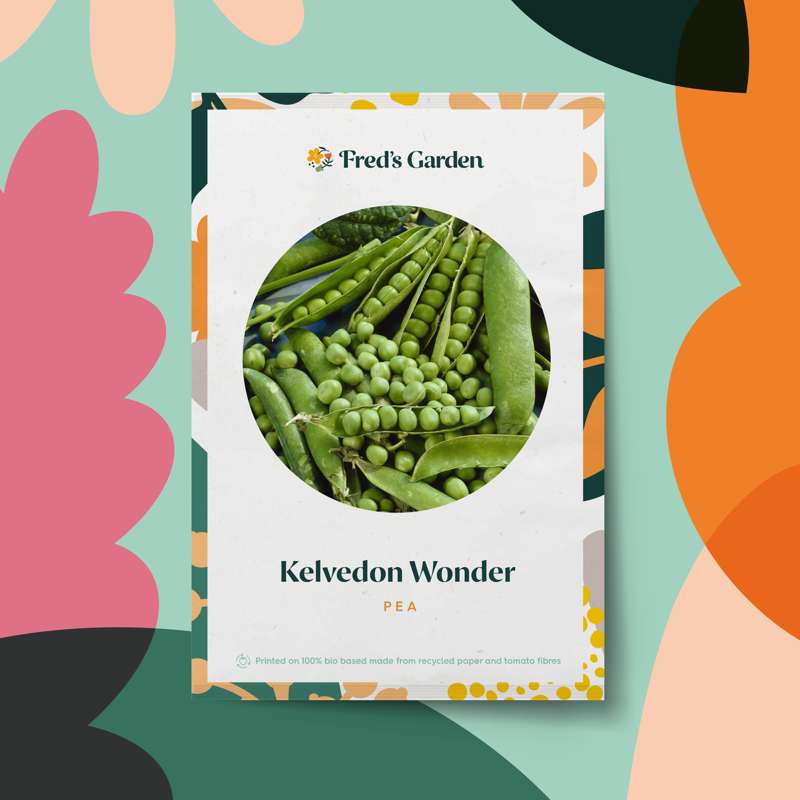 Ært 'Kelvedon Wonder' (frø)